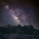 Illustration for article titled Dung Beetles Use the Milky Way for Navigation